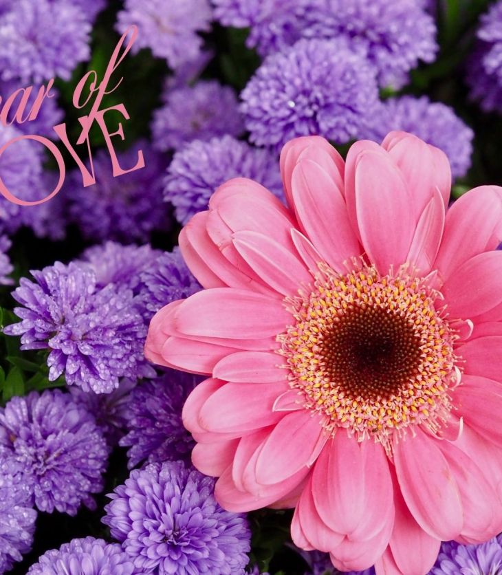 Purple carnations with a big bright pink sunflower in the middle with Year of Love text